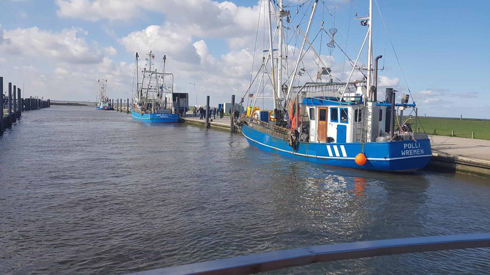 Ferienwohnung Alea, Zentrumsnah Bremerhaven Ngoại thất bức ảnh